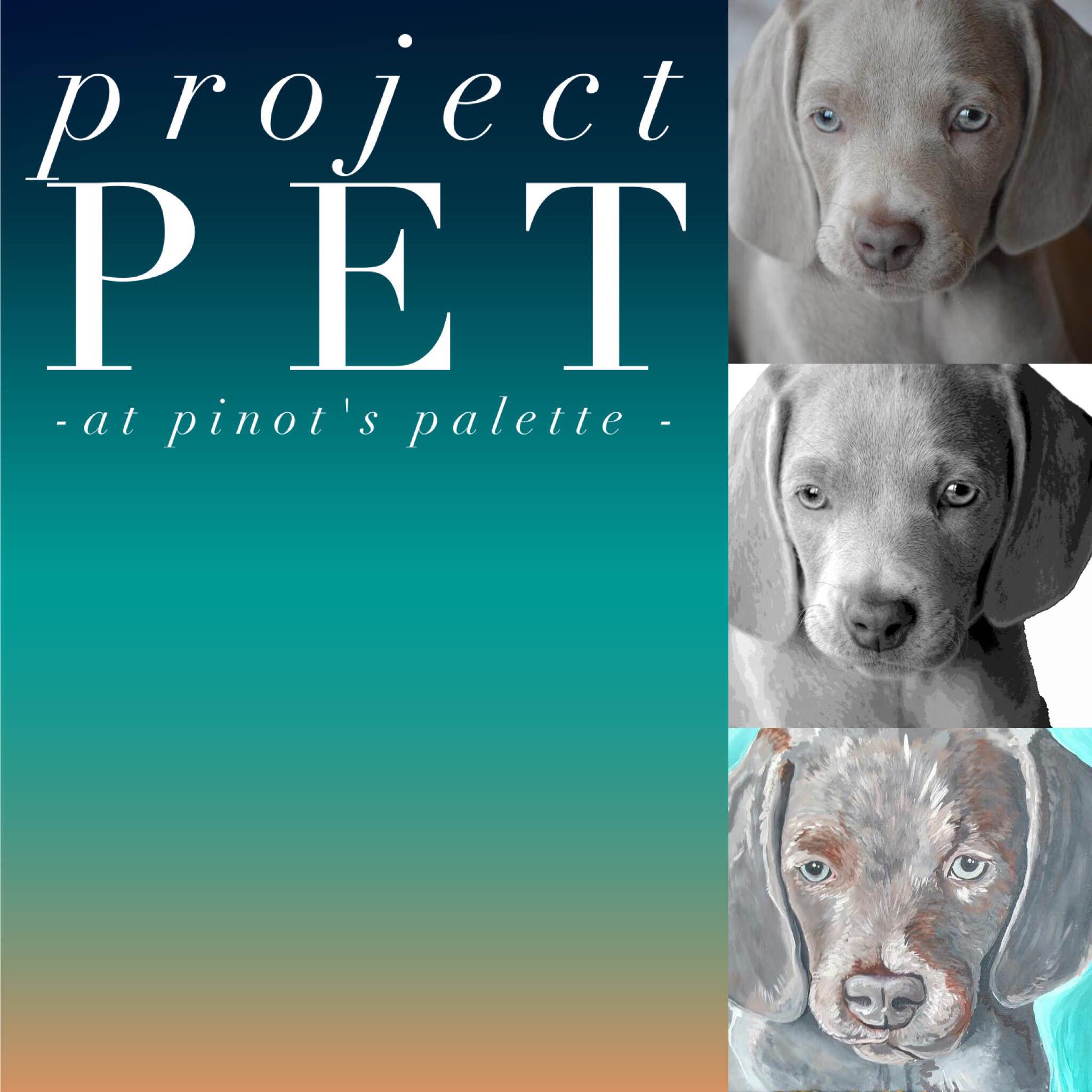 Project Pet - What's all the Woof about?