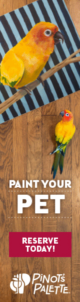 Paint Your Pet!