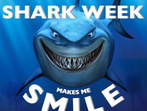 It's Almost Shark Week!!! How Will You Celebrate?! - Pinot's Palette