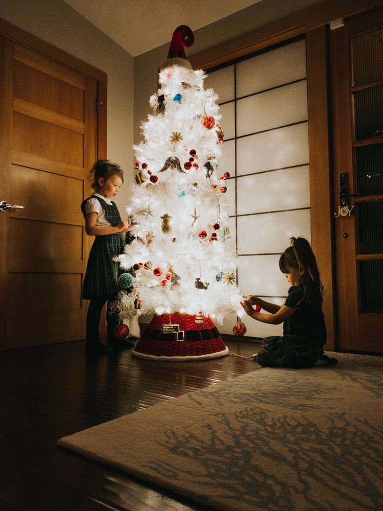 Lights, Camera, Capture! Holiday Picture-Taking Tips That Anyone Can Do!