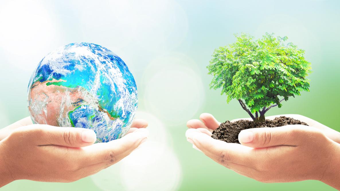 Living Sustainably This ‘Earth Day’ (& All Year Long)