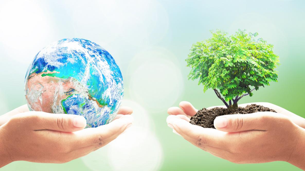 Earth Day and Greener Living