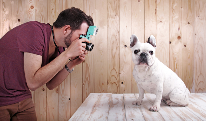 How To Take The Best Photos Of Your Pets!!! 