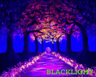 Blacklight Blossoms Aglow 