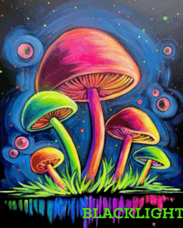Mushroom Magic 