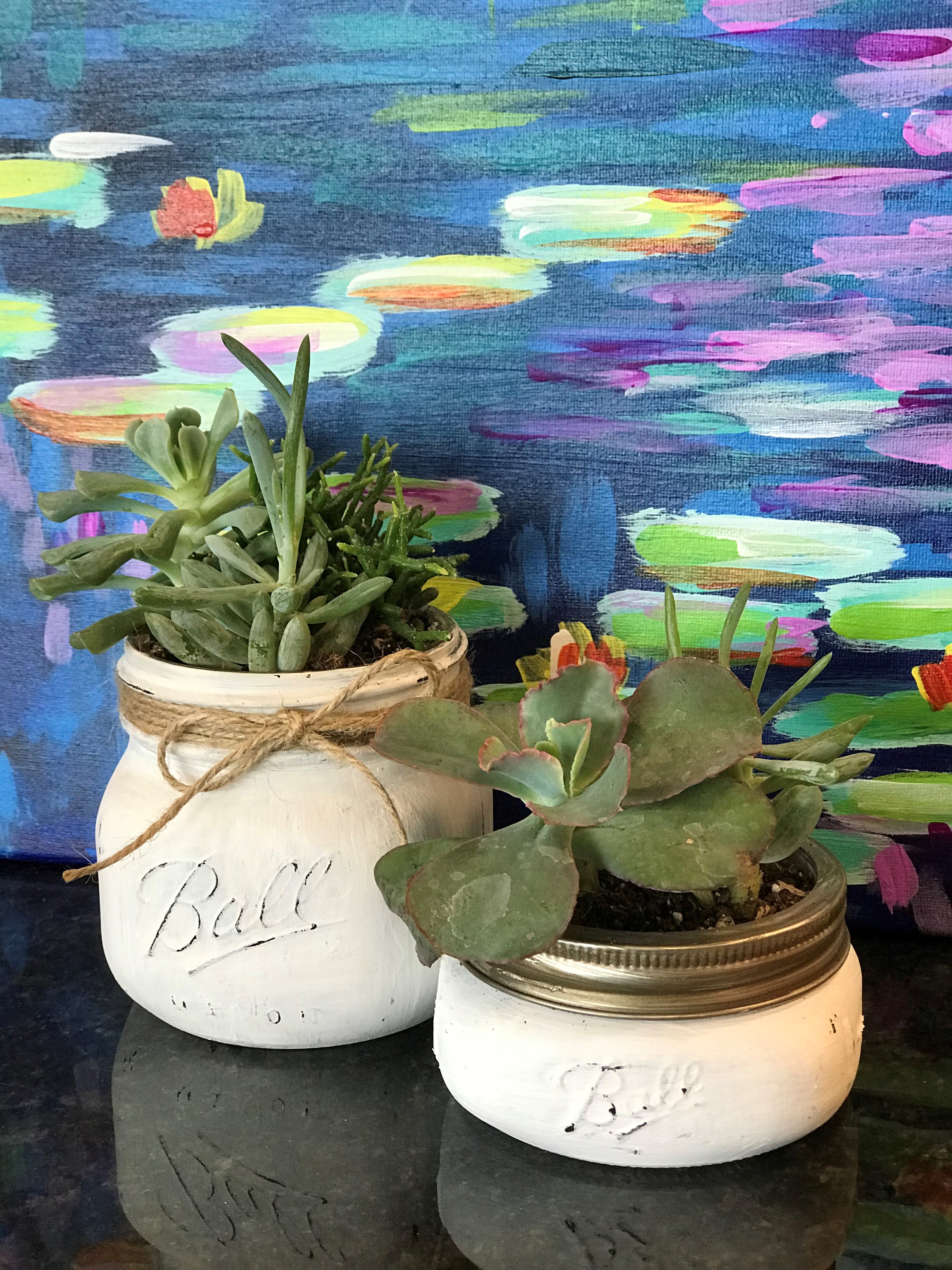 Mason Jar Succulents
