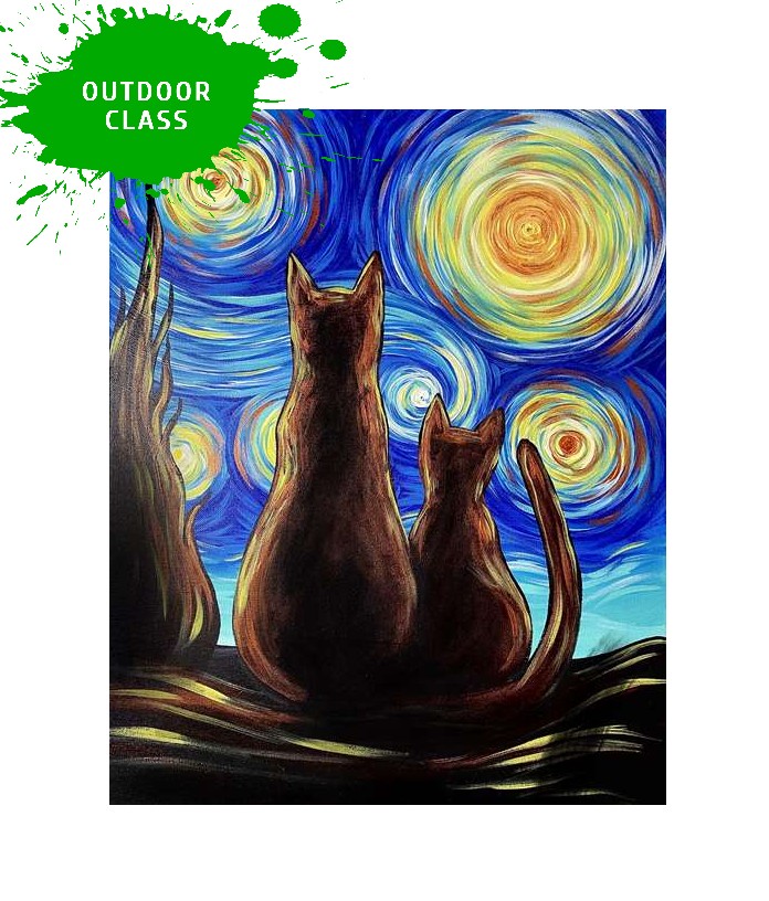 A Purr-fectly Starry Night 