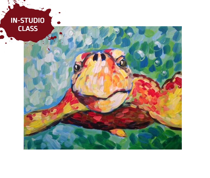 Curious Loggerhead Sea Turtle