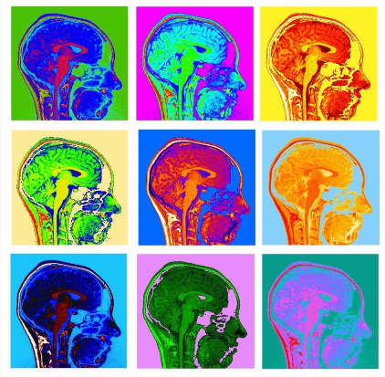 Did You Know: Multiple Studies Have Shown How Artists Have Different Brains 