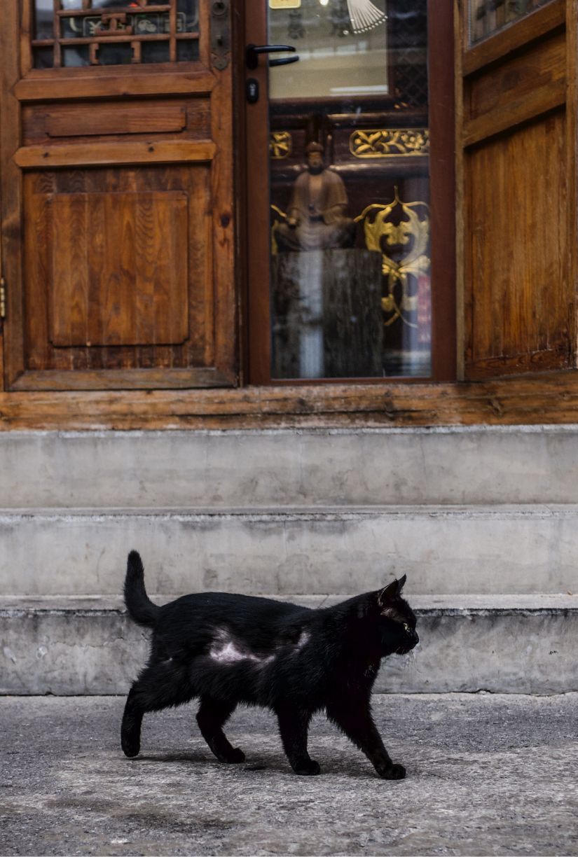 Why We Don’t Open Umbrellas Indoors…. And Other Superstitions, Explained