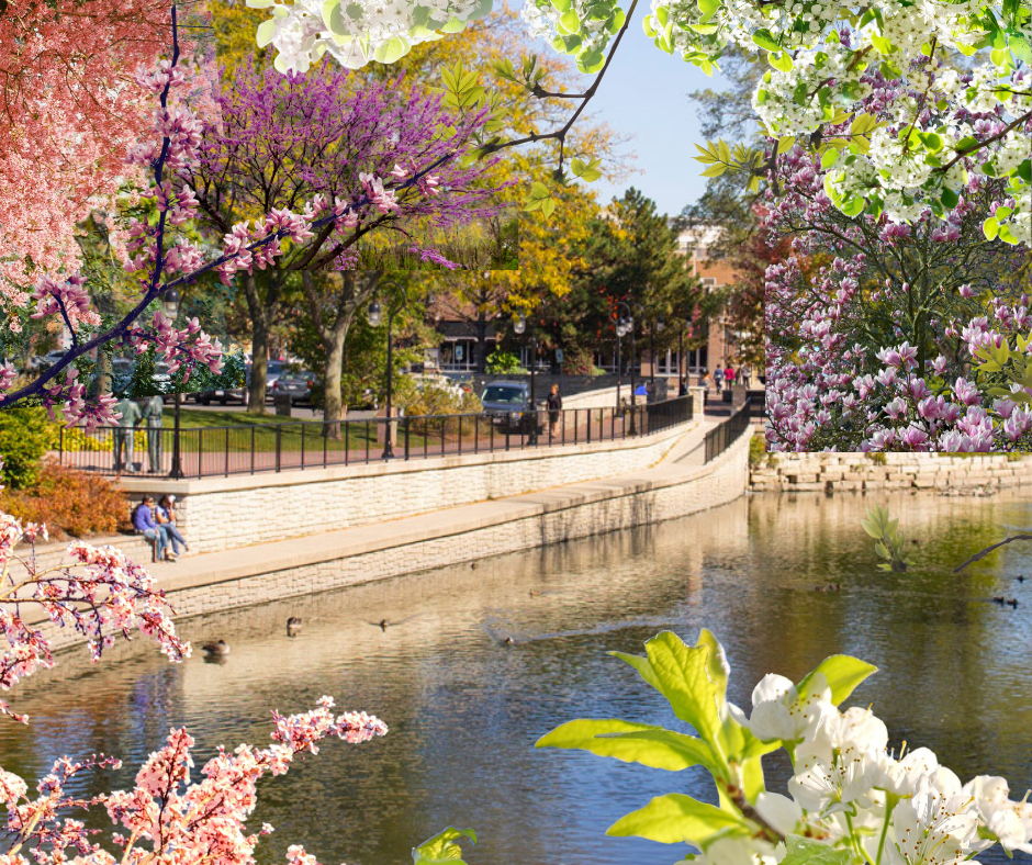 What Are Some Things To Do This Spring Around Naperville?