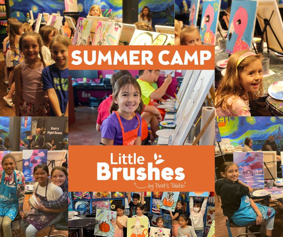 What’s Going On For Naperville’s Summer Camps This year?