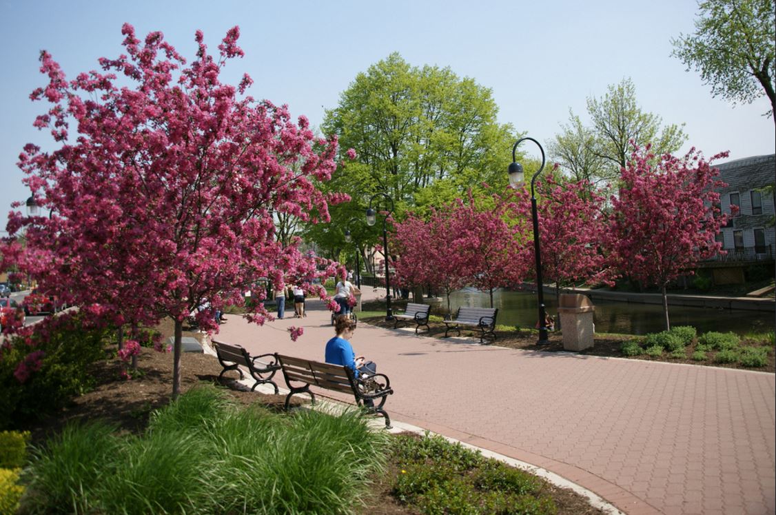 Enjoy The Many Springtime Events In and Around Naperville! 