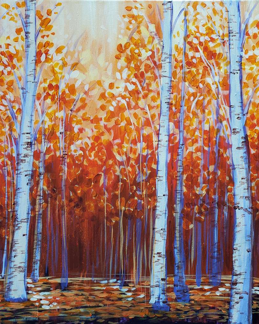 Birch Grove at Sunset