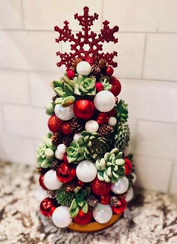 Christmas Tree DIY Succulent Workshop!