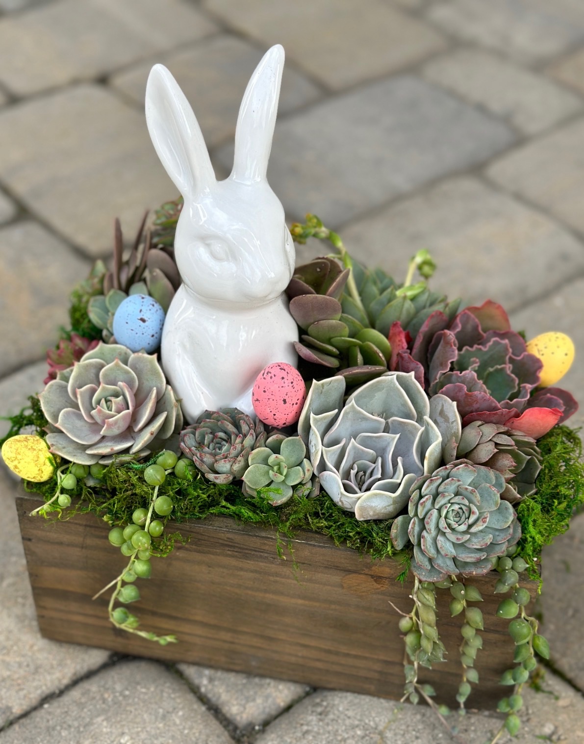 Sips and Succulents Workshop