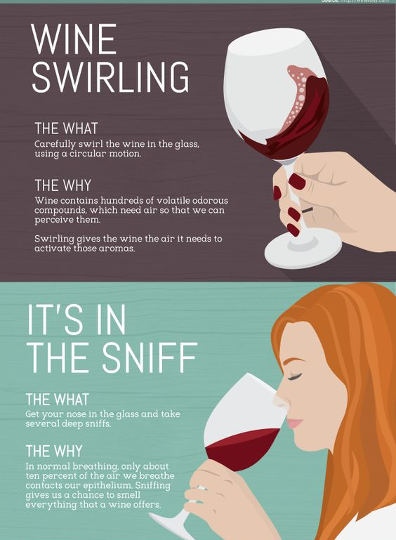 Why Should You Drink Your Wine Out Of A Wine Glass? - Pinot's Palette