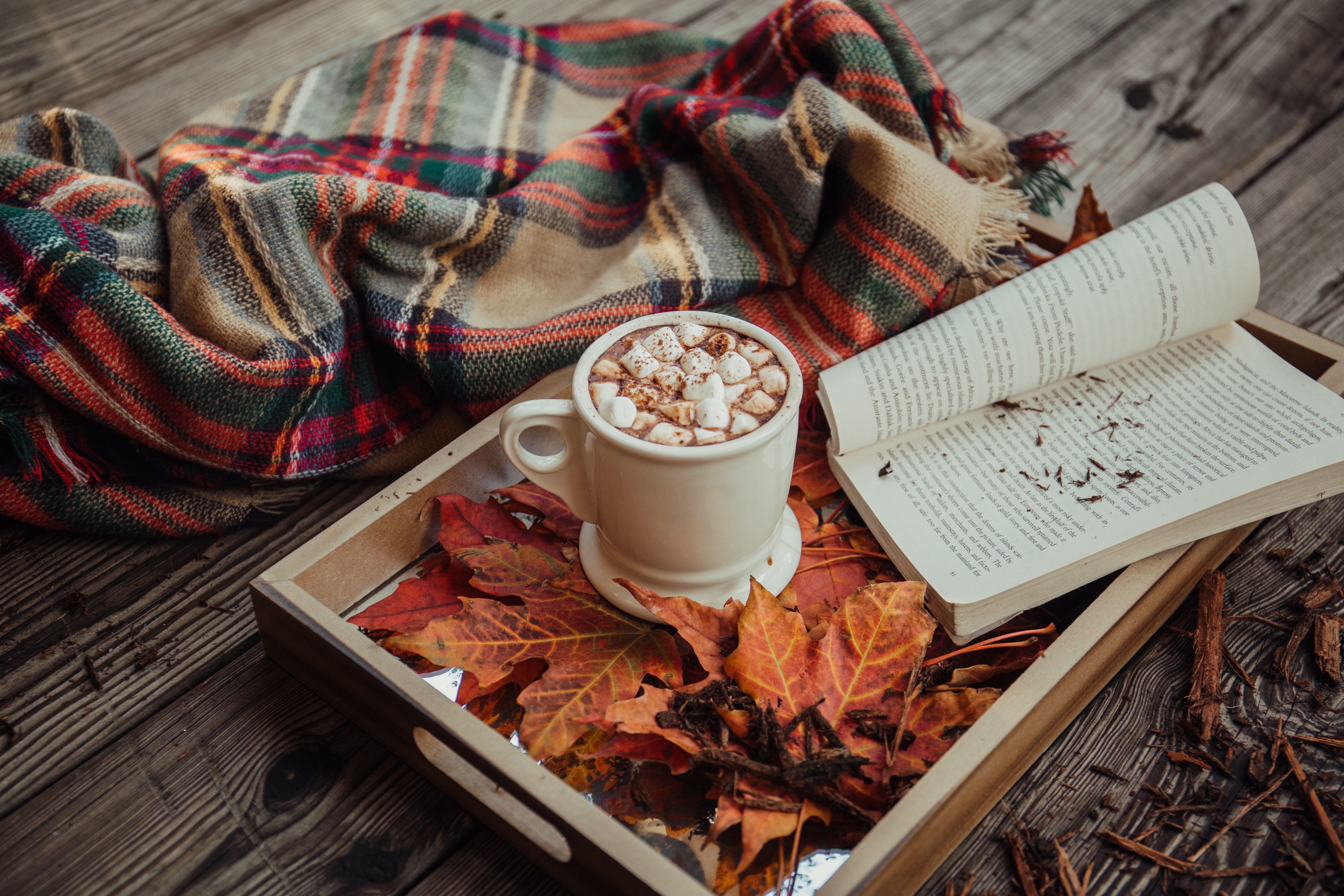 Literary Escape: Book Recommendations for Cozy Fall Reading