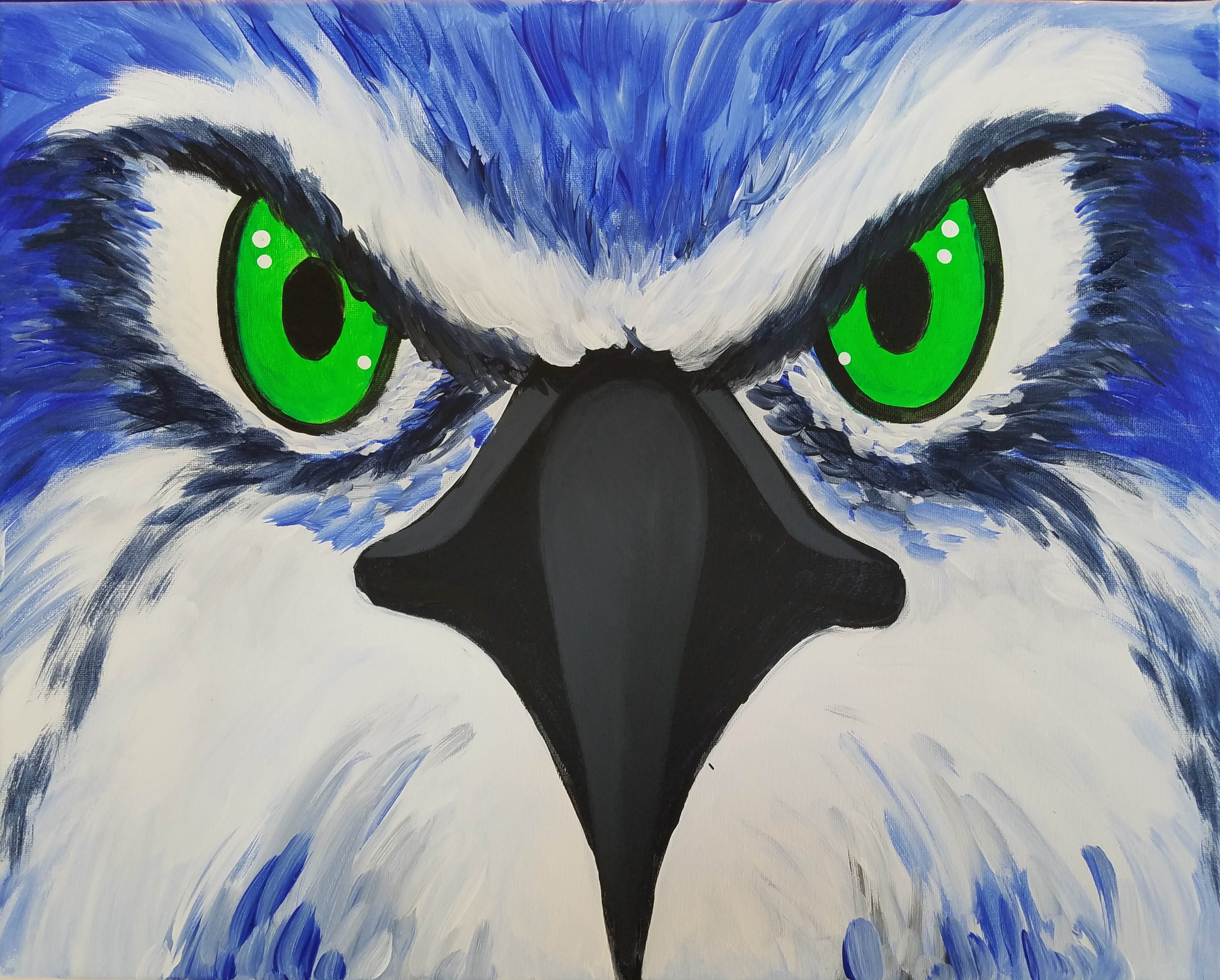 Eye of the Hawk