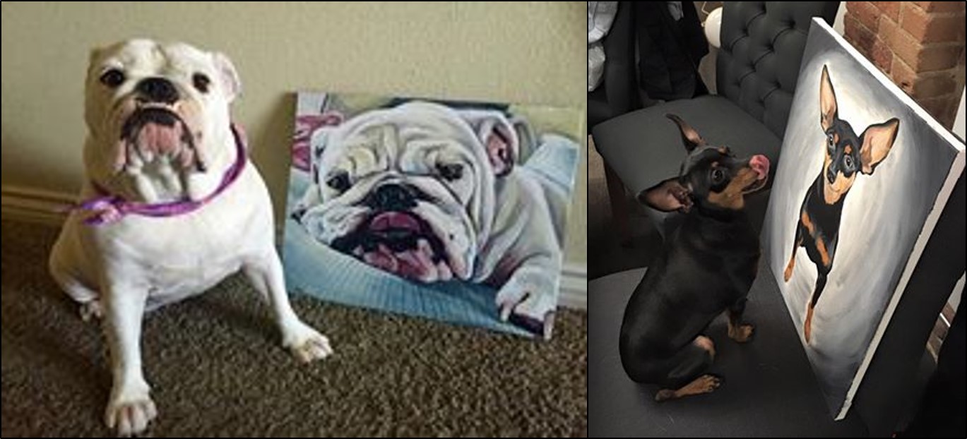 Paint your Pet!