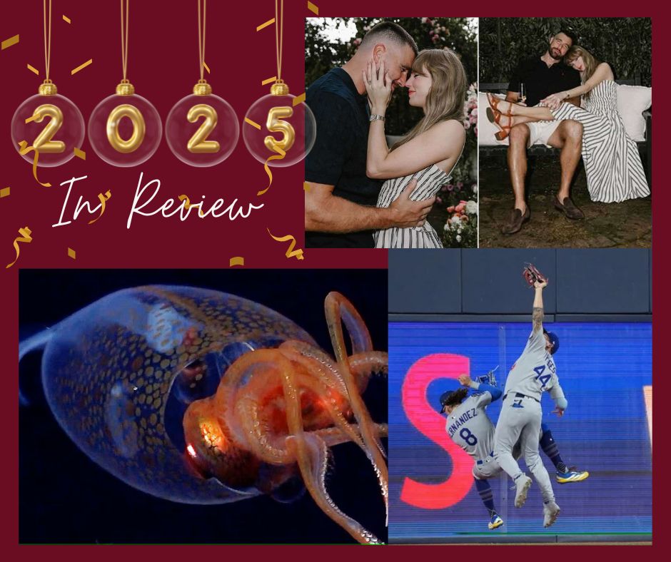 A Few Highlights From 2025 As We Welcome A New Year