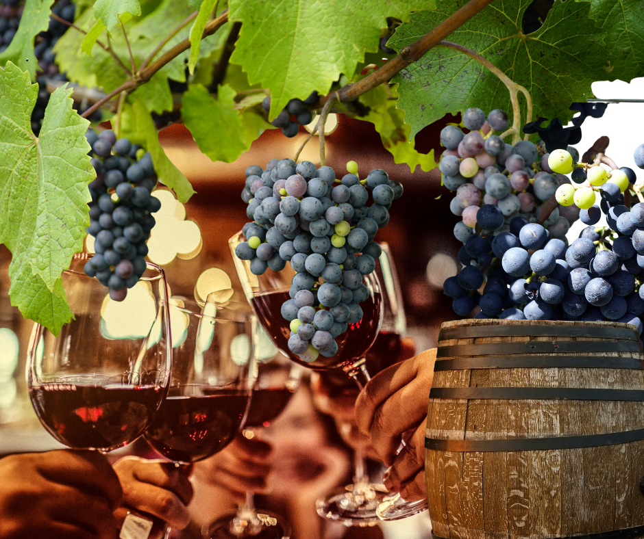 From Grape to Glass: The Journey of Wine