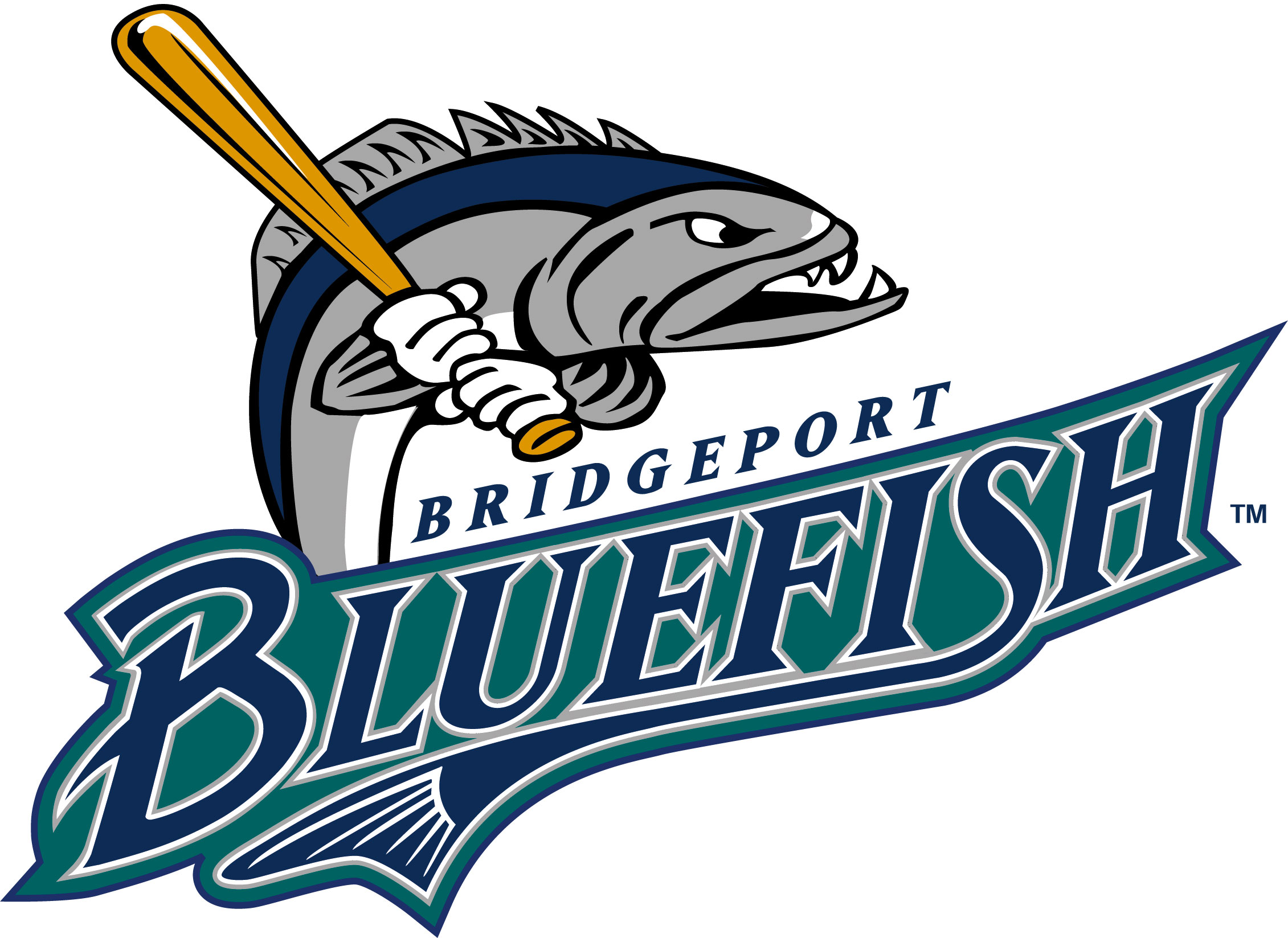 PAINT IN THE PARK with Bridgeport Bluefish!!!
