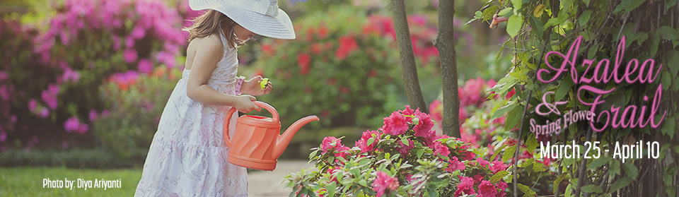 Azalea Arts and Crafts Festival at Bergfield Park